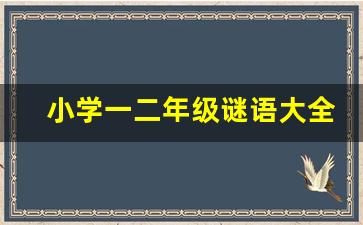 小学一二年级谜语大全_一二年级简单谜语