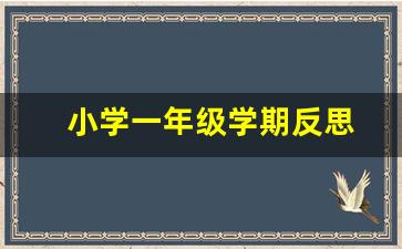 小学一年级学期反思