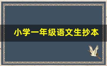 小学一年级语文生抄本_一年级下册语文第一课