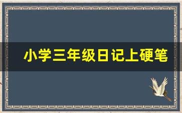 小学三年级日记上硬笔书法