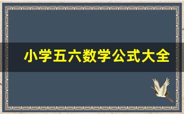 小学五六数学公式大全表