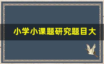 小学小课题研究题目大全_小学小课题研究题目大全精选