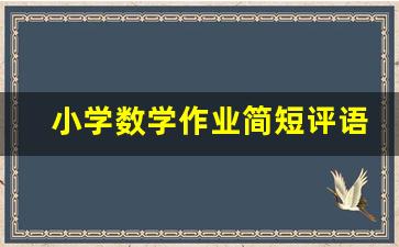 小学数学作业简短评语