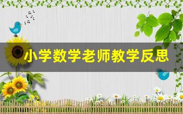 小学数学老师教学反思