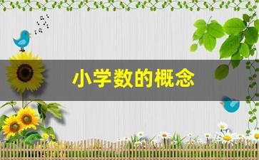 小学数的概念