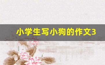 小学生写小狗的作文300字