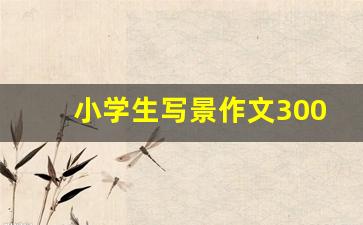 小学生写景作文300字_小学生写公园的作文