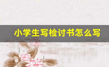 小学生写检讨书怎么写_小学生认错反思500字