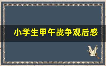 小学生甲午战争观后感