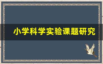 小学科学实验课题研究课题