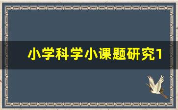 小学科学小课题研究100篇