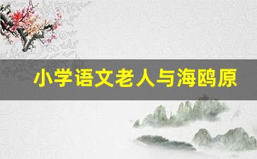 小学语文老人与海鸥原文_盐湖城海鸥英文课文