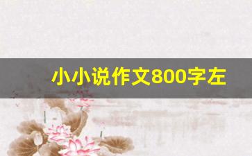 小小说作文800字左右高中