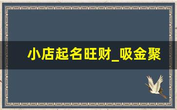 小店起名旺财_吸金聚财的名字