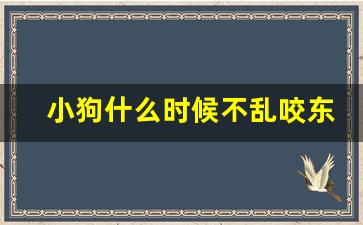 小狗什么时候不乱咬东西