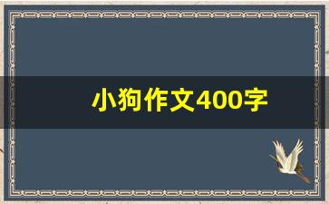 小狗作文400字