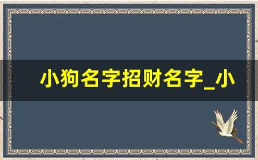 小狗名字招财名字_小狗起啥名字最旺家