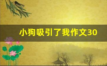 小狗吸引了我作文300字