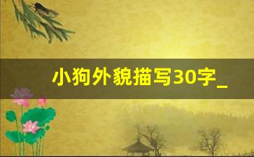 小狗外貌描写30字_介绍小狗30字