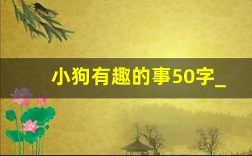 小狗有趣的事50字_小狗趣事描写