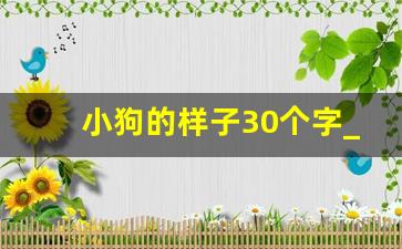 小狗的样子30个字_小狗的介绍20字以内