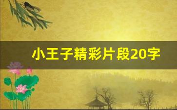 小王子精彩片段20字_小王子精彩段落摘抄100字