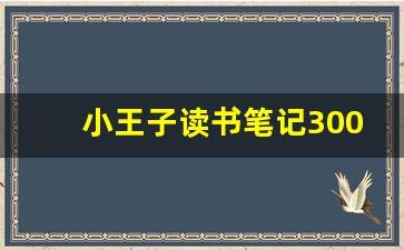 小王子读书笔记3000字