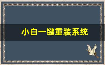 小白一键重装系统