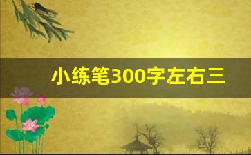 小练笔300字左右三年级_小练笔作文300字