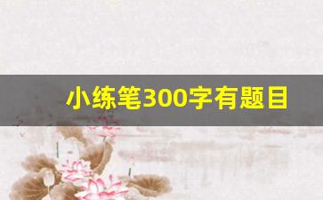 小练笔300字有题目_练笔作文300字左右