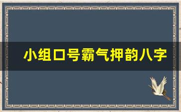 小组口号霸气押韵八字