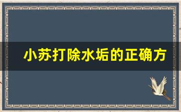 小苏打除水垢的正确方法