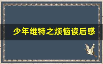 少年维特之烦恼读后感_少年维特的烦恼好词好句