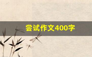 尝试作文400字