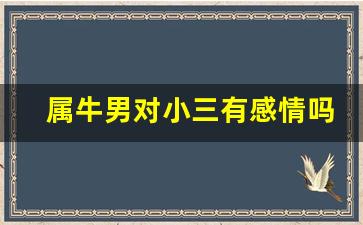 属牛男对小三有感情吗