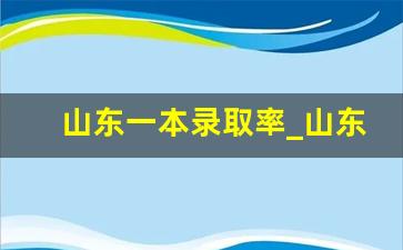 山东一本录取率_山东高考本科录取率是多少