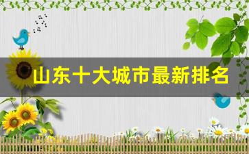 山东十大城市最新排名_2023城市排行榜最新