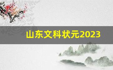 山东文科状元2023_高考文科状元分数