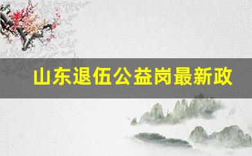 山东退伍公益岗最新政策