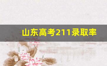 山东高考211录取率_山东各市985录取率