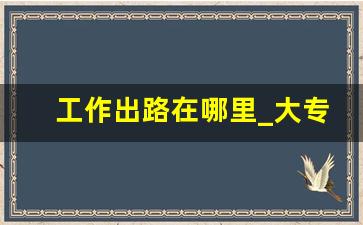 工作出路在哪里_大专生毕业后的出路