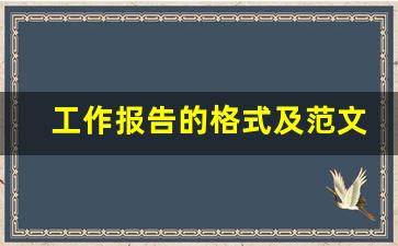 工作报告的格式及范文_工作报告word标准格式