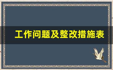 工作问题及整改措施表格_部门问题清单及整改措施