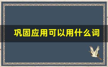 巩固应用可以用什么词语代替