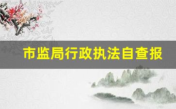 市监局行政执法自查报告_行政执法自查亮点汇报