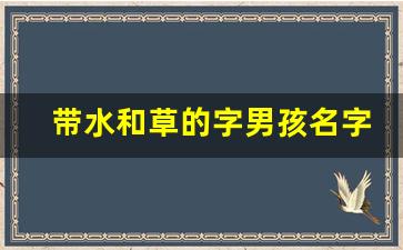 带水和草的字男孩名字