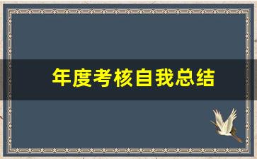 年度考核自我总结