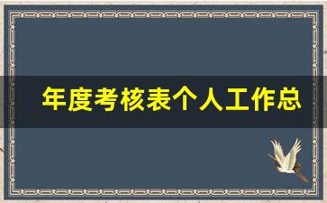 年度考核表个人工作总结