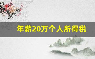 年薪20万个人所得税_20万个税对应年收入