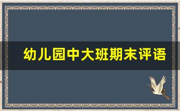 幼儿园中大班期末评语